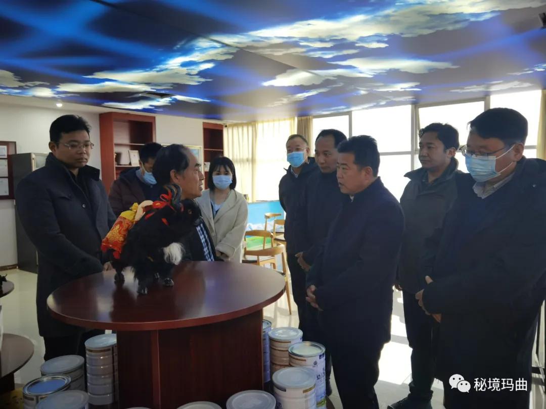 高原之寶上市，學(xué)習(xí)、蛻變與自信的輝煌之旅