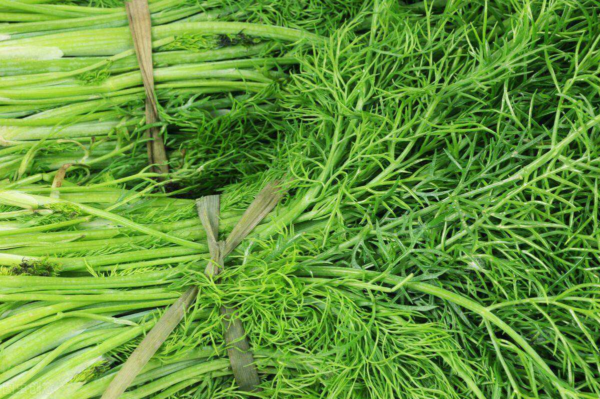 茴香價(jià)格動(dòng)態(tài)，香氣變化與你的關(guān)聯(lián)