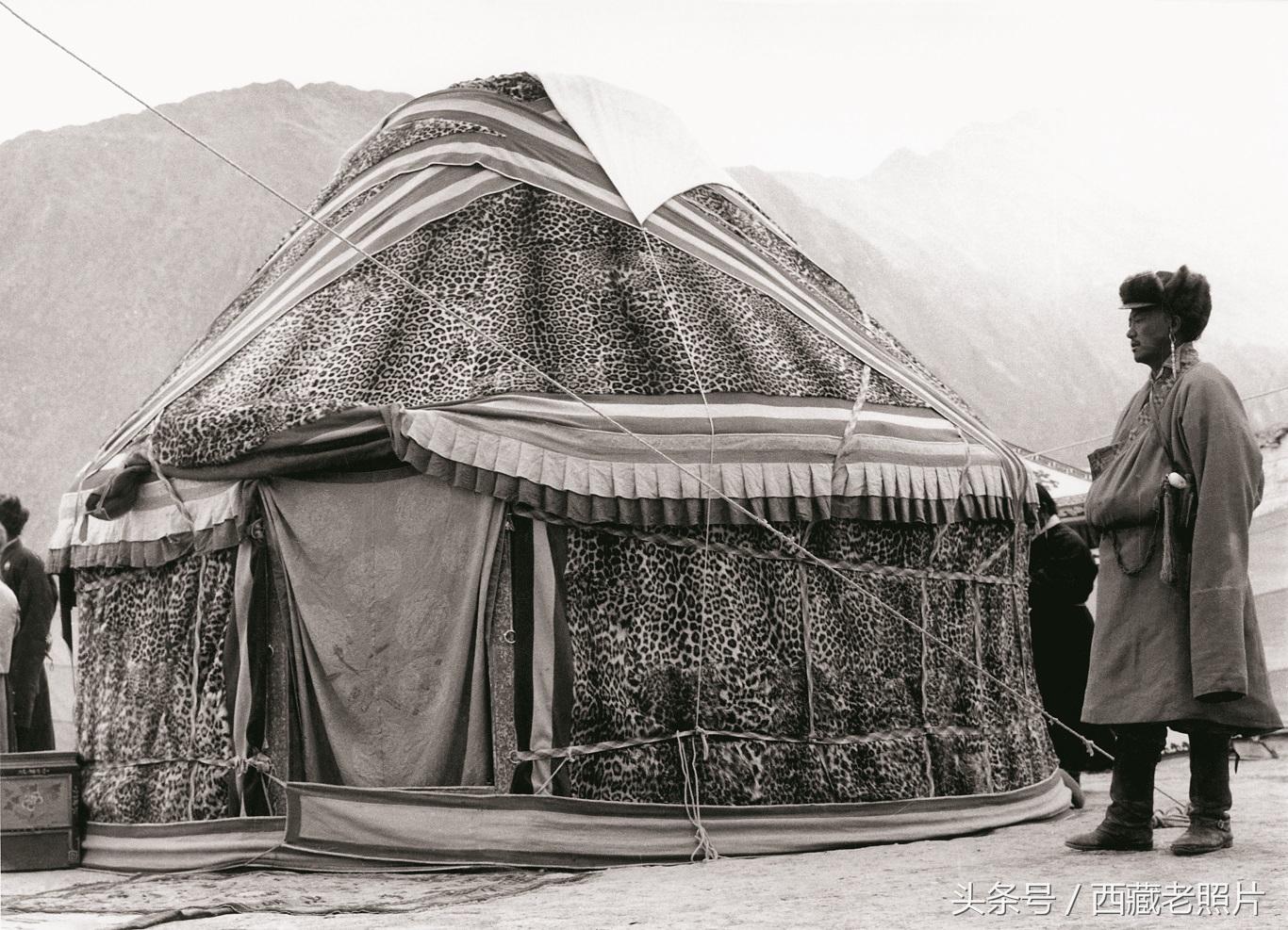 輕松科普之旅，蒙古包帳篷價格及圖片全解析