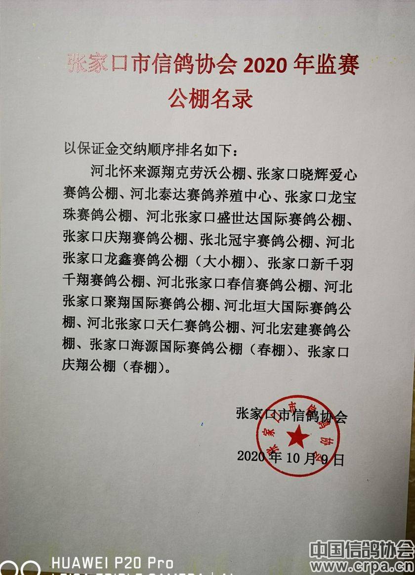 東光信鴿協(xié)會(huì)最新通告，小巷深處的獨(dú)特風(fēng)味揭秘與信鴿活動(dòng)更新通知