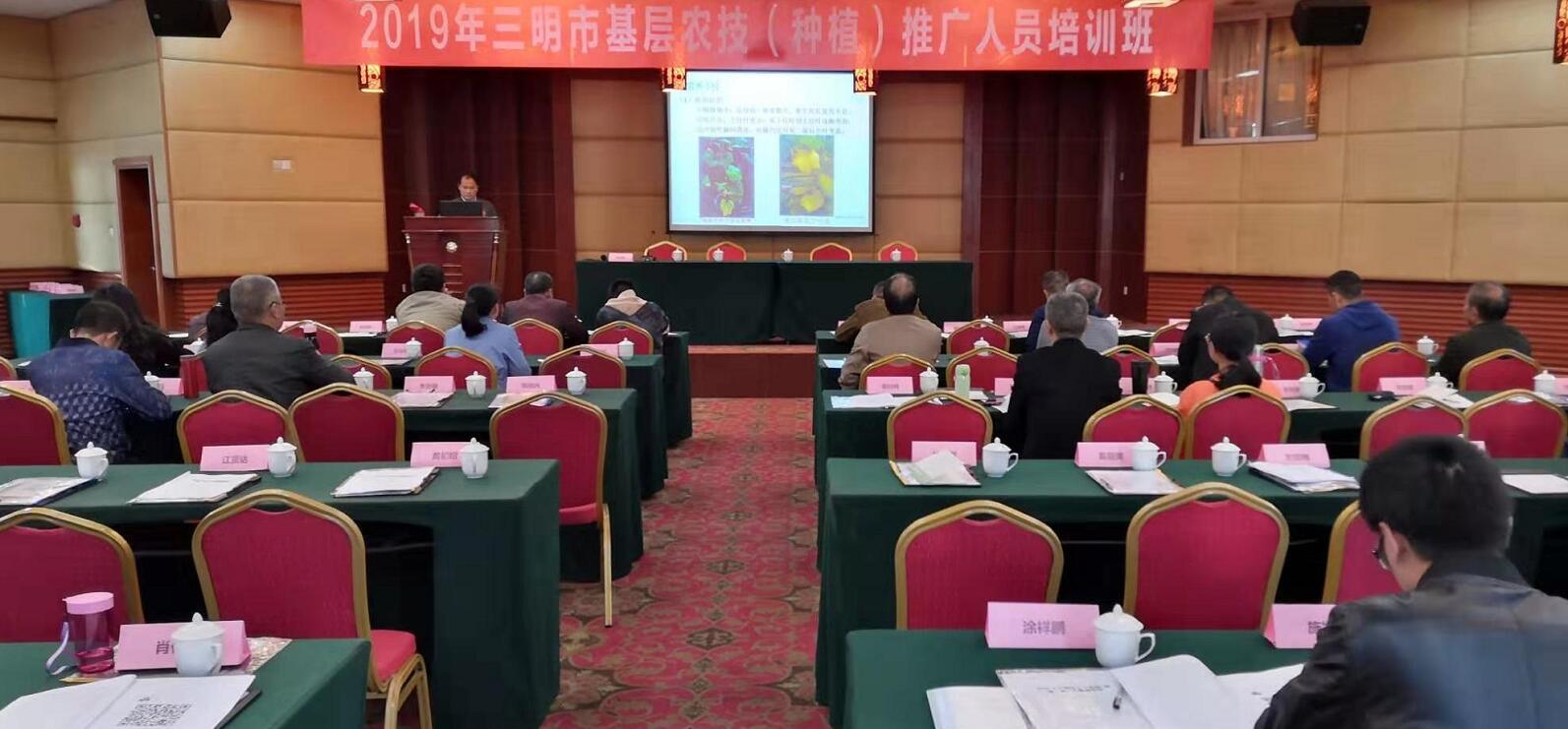 豇豆最新，廚房中的友情與家的溫馨