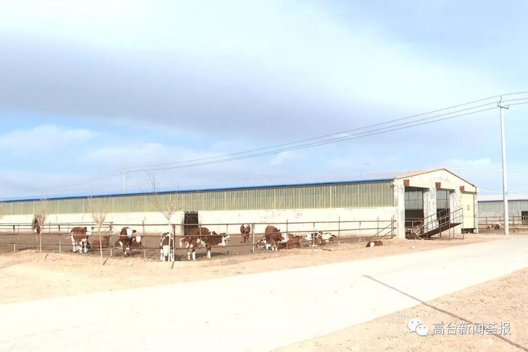 最新養(yǎng)殖場建設(shè)政策解讀，探索之旅啟程