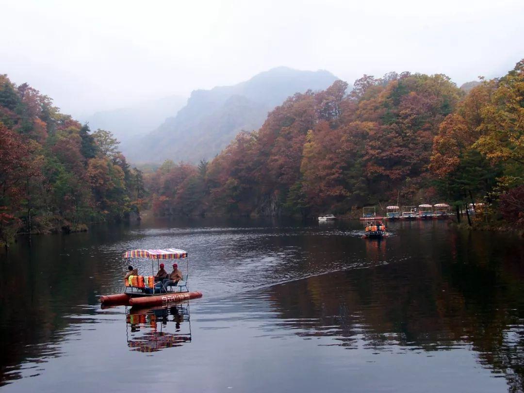 心動(dòng)瞬間，愛情與生活的美妙交匯