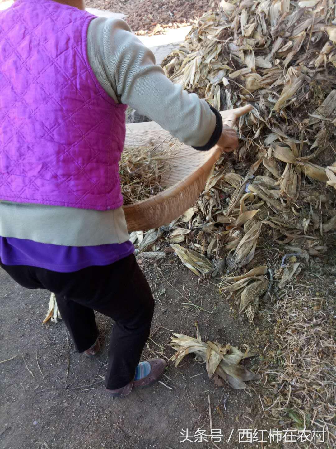 彬縣撤縣設(shè)區(qū)最新進(jìn)展，最新動態(tài)更新