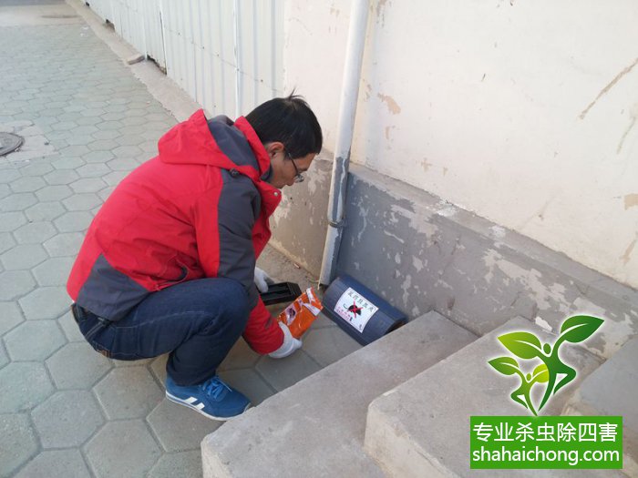 最新滅鼠技術(shù)的觀點(diǎn)論述與立場闡述，創(chuàng)新方法的探索與挑戰(zhàn)