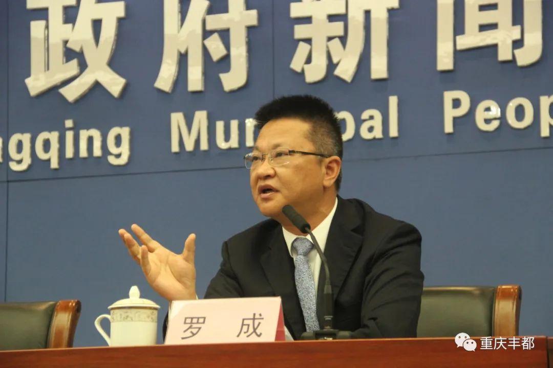 豐都新聞快訊，日常溫情與陪伴的瞬間