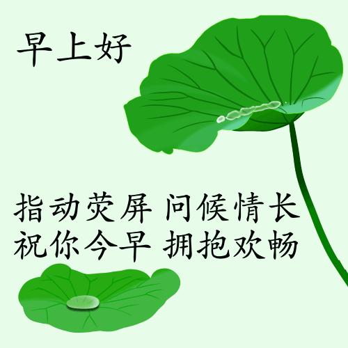 最新疫情動態(tài)下的自然探索之旅，追尋內(nèi)心的平和與寧靜