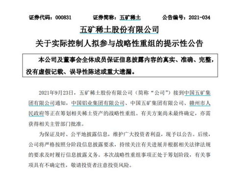 南方稀土股票，小巷中的隱秘寶藏，探索投資魅力的未知之旅