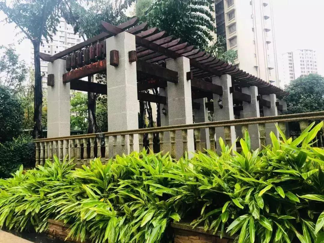 陽光江山金岸最新動態(tài)揭秘，全面指南與步驟詳解