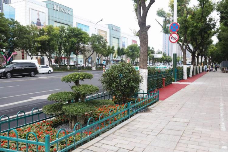 濰坊市奎文區(qū)改造工程，自然美景的探索之旅
