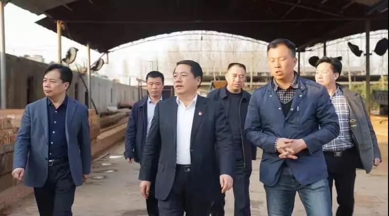 商丘王仲田最新動(dòng)態(tài)，探索自然美景的旅行，尋求內(nèi)心平和之旅