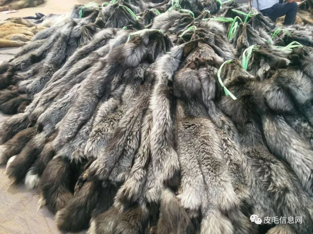 貉皮尚村最新價格，小巷中的時尚皮草寶藏探索