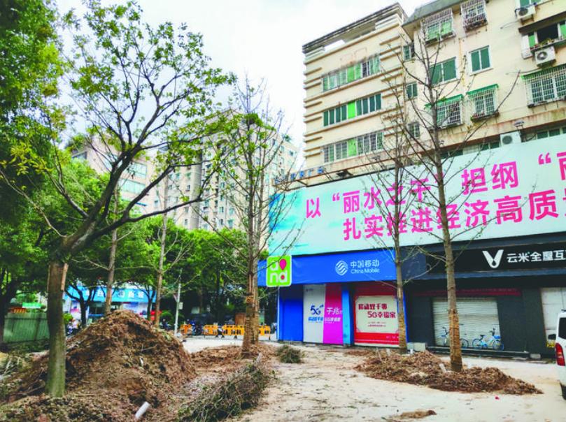 最新吊車網(wǎng)，自然美景之旅與內心平靜的探尋