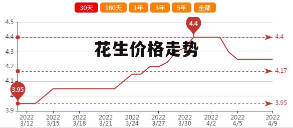 遼寧花生最新價(jià)格揭秘，一段溫馨的友情故事中的緣分相逢