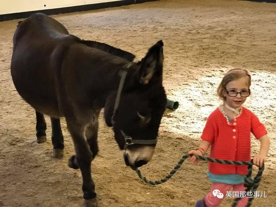 二驢子最新事件揭秘，事件全貌大揭秘！