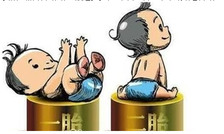 最新雙胞胎補(bǔ)助政策，攜手同行，助力孕育夢(mèng)想之路