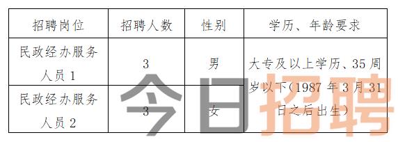 慶陽(yáng)最新招聘揭秘，小巷中的特色小店，探索未知寶藏的職場(chǎng)之旅
