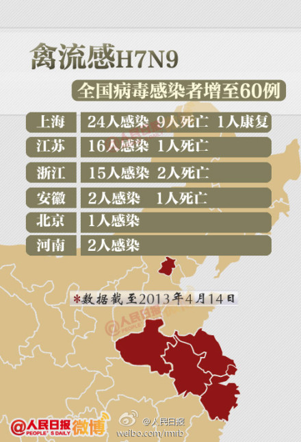 山東禽流感最新動態(tài)，友情與陪伴的溫馨故事