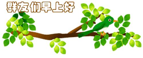 最新清晨祝福短信，晨曦中的溫暖問候，傳遞美好祝愿與關(guān)懷
