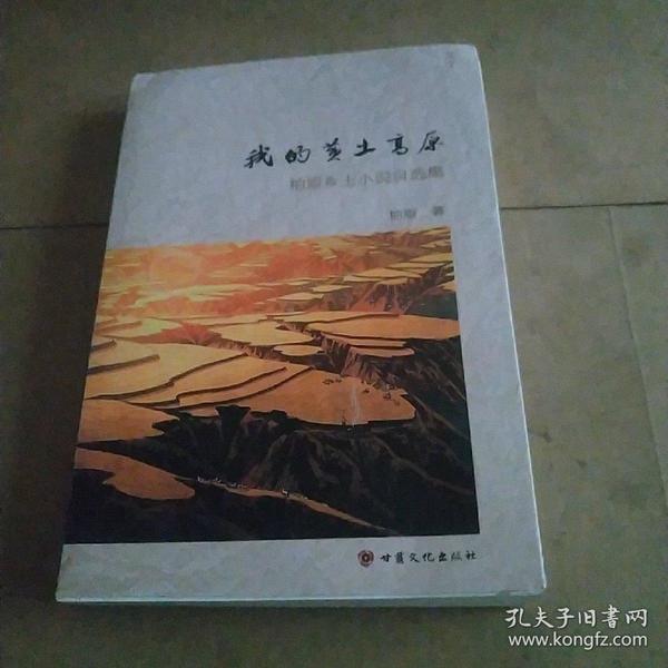 時代背景下的鄉(xiāng)土情懷與文學地位，最新鄉(xiāng)土小說探析