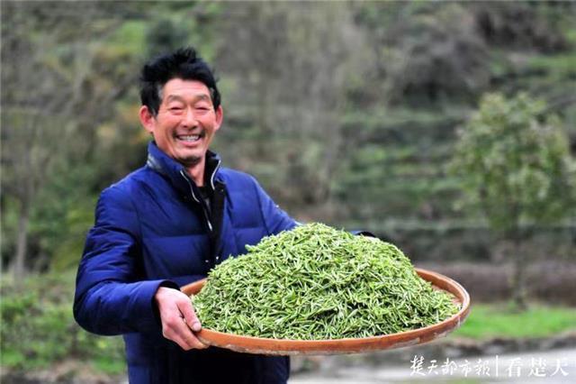 最新夷陵新聞，探索自然美景的旅程，尋覓內(nèi)心平和之地