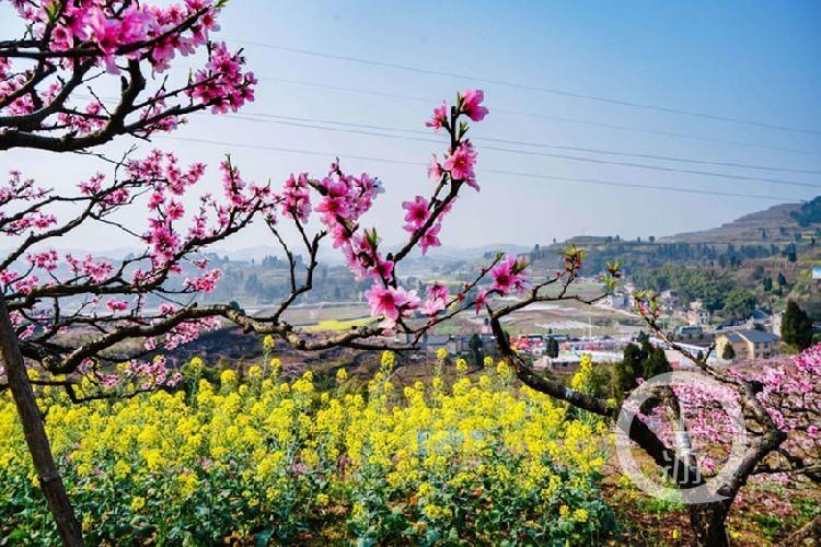 合川最新科技新聞，高科技產(chǎn)品引領(lǐng)未來(lái)生活潮流
