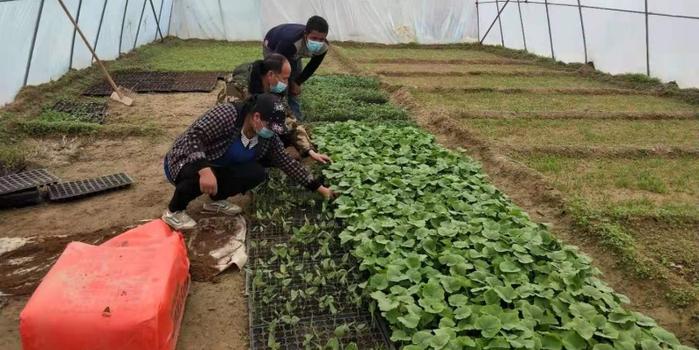 策勒最新招聘啟航人才新篇章，學(xué)習(xí)變化，擁抱自信與成就，啟程人生新征程！