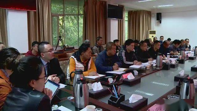 德昌最新新聞，擁抱自然，心靈寧靜之旅啟程