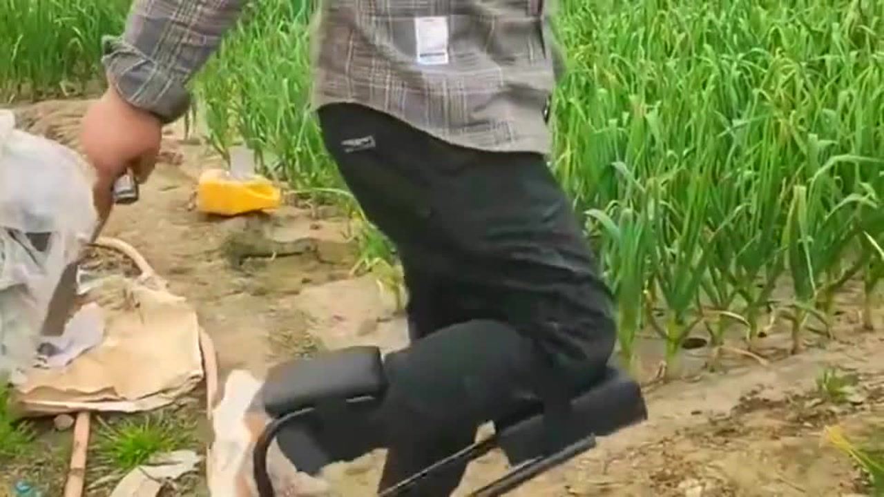 最新挖蒜工具，心靈與自然的完美交融