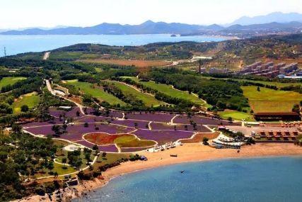 心悅海島探險攻略，最新任務指南與探險體驗