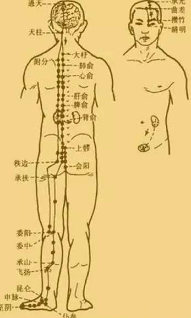 最新經(jīng)絡(luò)操，探索古老奧秘，重塑健康身姿