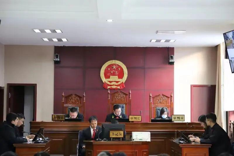 偏關最新案件深度解析，揭示真相，關注社會公正與公平