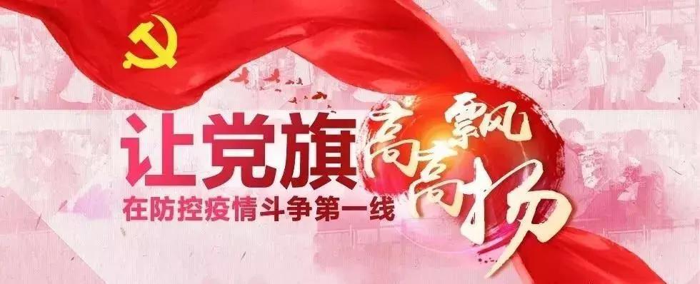 全球抗擊新冠疫情最新進展與案例分析，最新疫情快訊綜述