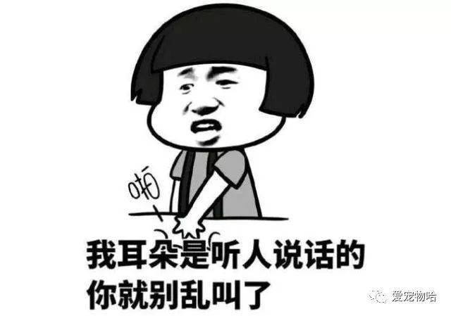 LED光源 第54頁(yè)