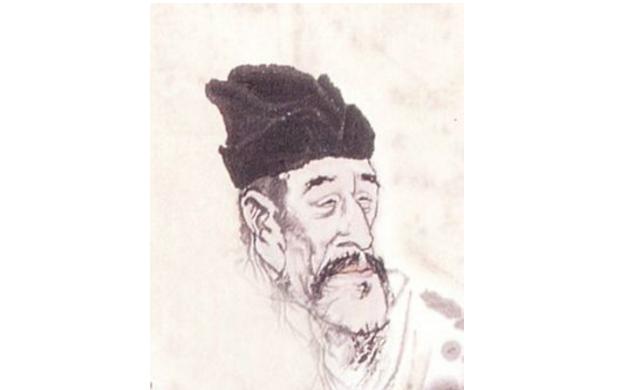 最新孤雁圖片，展現(xiàn)自然之美與深意的瞬間