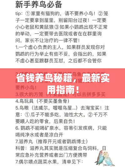 最新養(yǎng)鳥法規(guī)解析，觀點(diǎn)闡述與深度探討