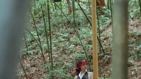 原野小年最新風(fēng)情，小巷深處的獨(dú)特魅力