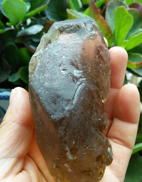 最新鑒定法，揭示友情的印記與家的溫馨