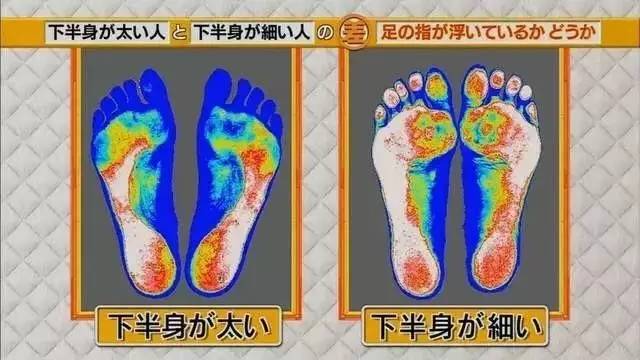 最新地趾論述，探索、爭議與觀點(diǎn)綜述
