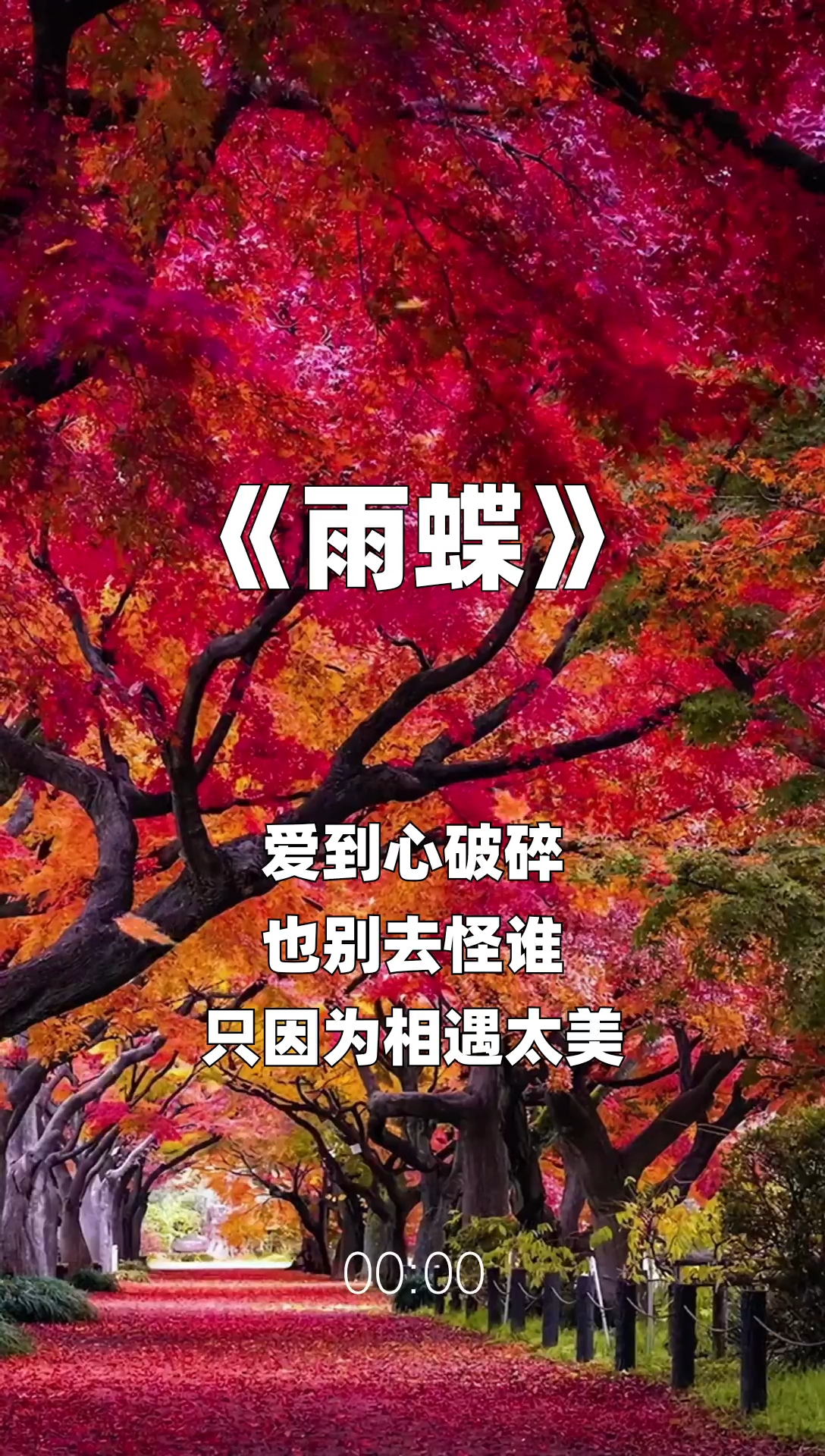 雨蝶最新步驟指南，如何完成任務(wù)或?qū)W習(xí)技能？