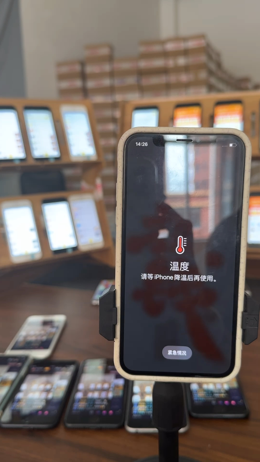 蘋果最新直播，科技與文化的完美融合盛宴