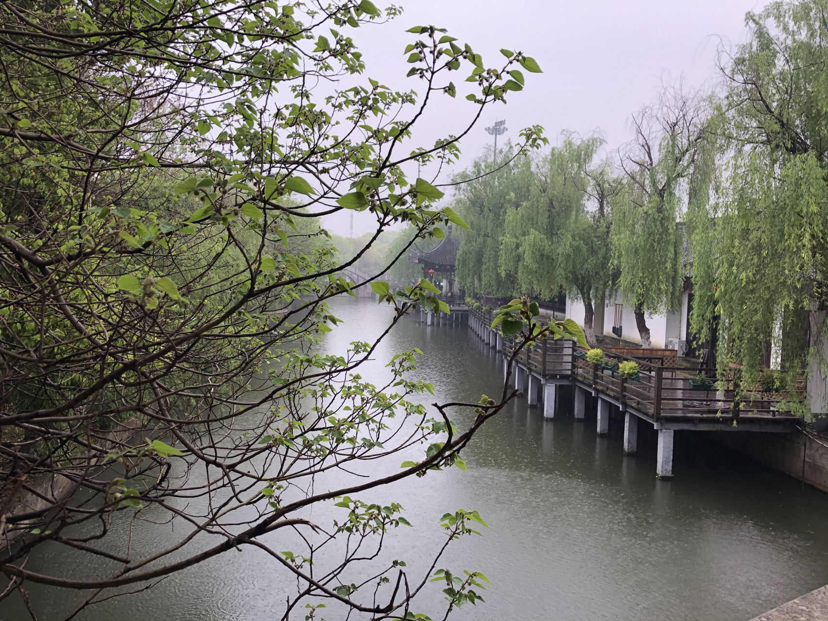 江南煙雨最新，自信與成就感的成長(zhǎng)之旅