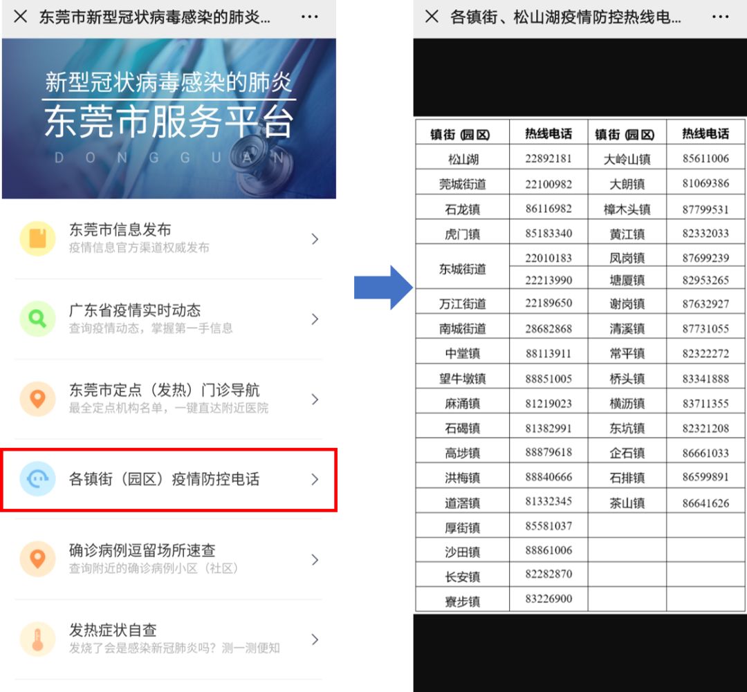 東莞最新疫情狀況，逆風翱翔，用知識守護夢想健康