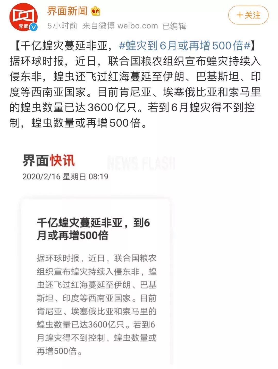 世界蝗災(zāi)最新動態(tài)，探索自然美景的輕松之旅