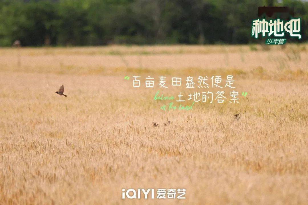 種地吧最新語錄，探索未來農(nóng)業(yè)的高科技魅力