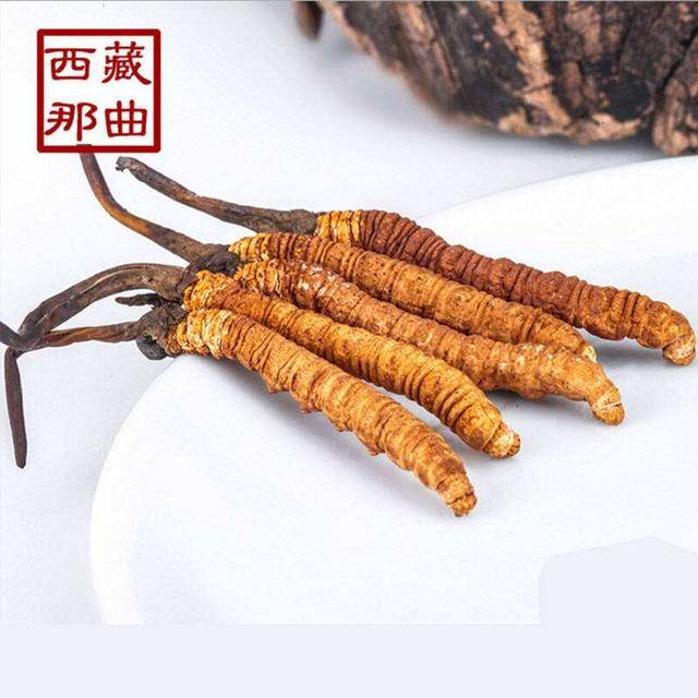 揭秘2025年蟲草最新價格，探尋小巷中的秘密行情！