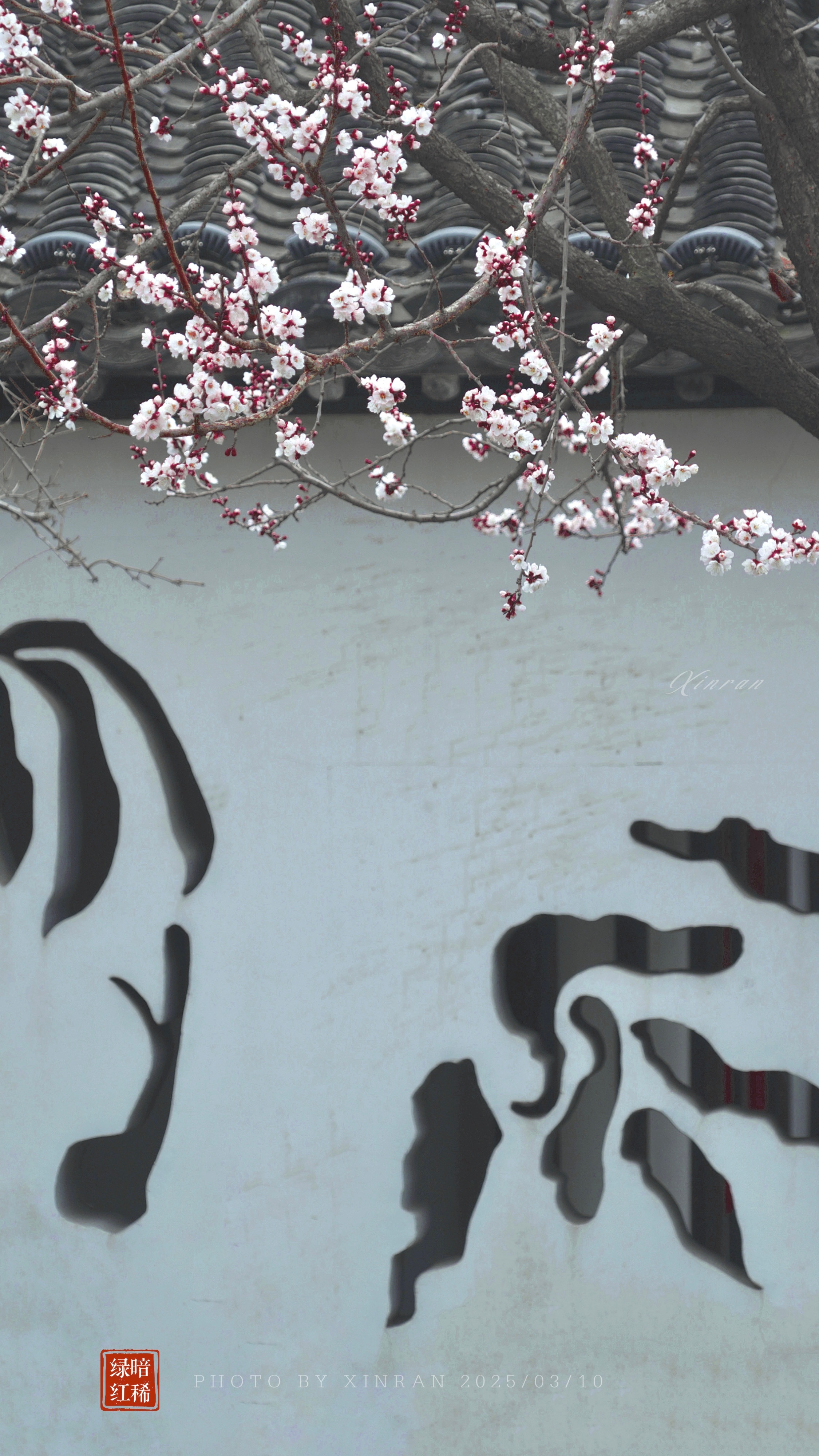 紅杏出墻新變化，自信閃耀，成就無(wú)限可能的學(xué)習(xí)之旅
