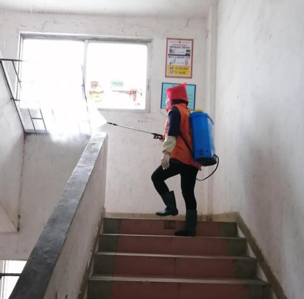 蓬江區(qū)最新高科技住宅，重塑未來(lái)生活體驗(yàn)的首選之地