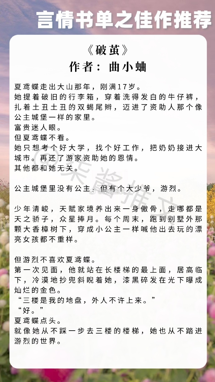 夢莜二最新小說，自然之旅的奇妙探險(xiǎn)之旅